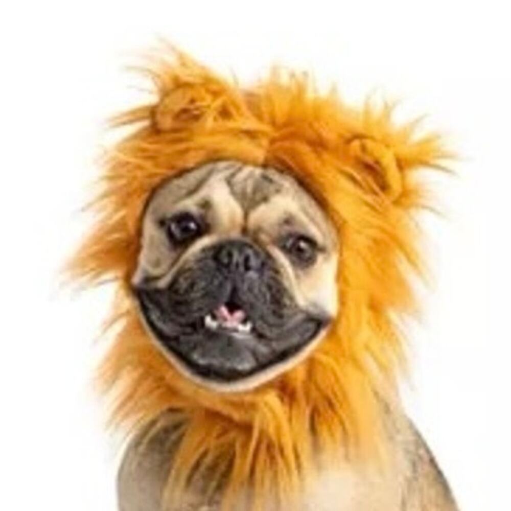 Lion Mane Costume for Dogs - Size Medium - Dress Up